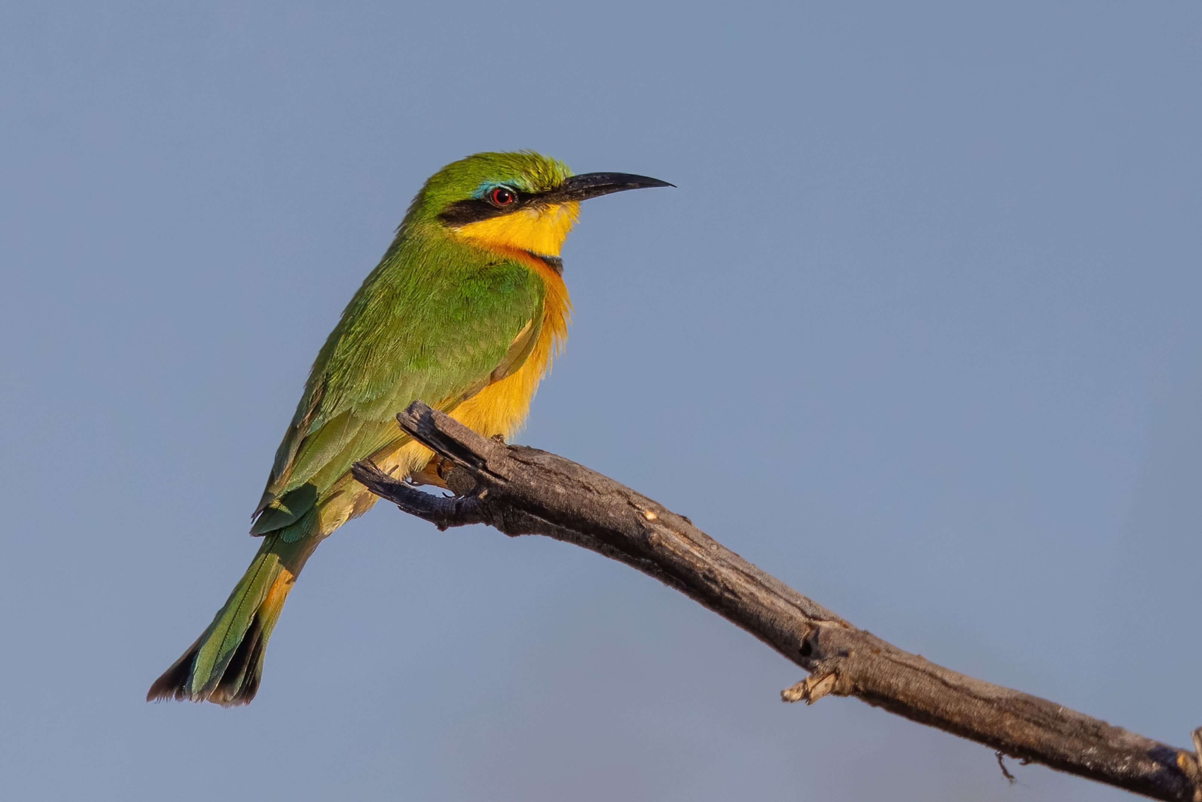 Guide Course in South Africa